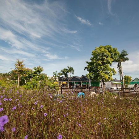 Fami Nguyen Homestay Тяудок Екстер'єр фото